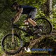 Pneu VTT WILD AM2 COMPETITION LINE 27.5"x2.60 ETRTO 66-584 Tringles souples TLR