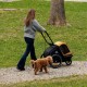 Remorque chien MILOU S Jaune
