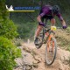 Pneu VTT WILD XC RACING LINE 29"x2.25 ETRTO 57-622 Tringles souples TLR