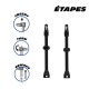 Valve tubeless 80 mm paire noir