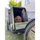 Remorque chien PLUTO M Vert/Noir