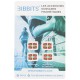 Accroches dossards magnétiques BIBBITS Pays Basque