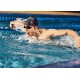 Casque MP3 Shokz - OPENSWIM PRO USB-C