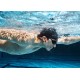 Casque MP3 Shokz - OPENSWIM PRO USB-C