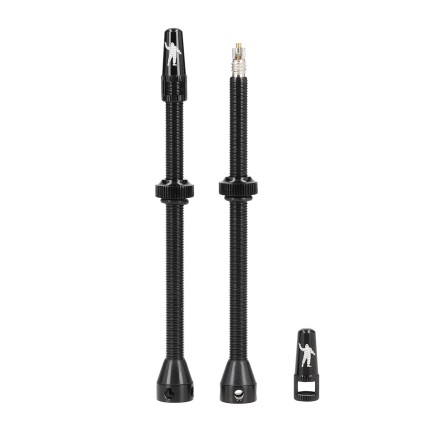 Valve tubeless 100mm paire noir